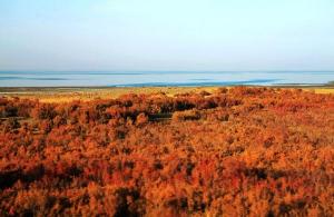 China Bayinguoleng Bosten Lake 